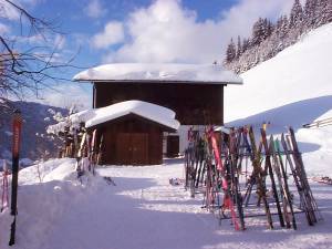 Xtrallusion photo library of independent, self-guided walking and sightseeing holidays in Italy. Pictures, images, photos and photographs taken along the way of this 1-day walking itinerary, to give you a visual impression of the day's walk.